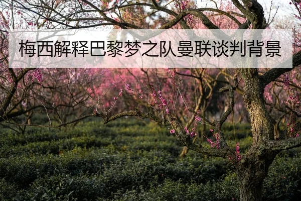梅西解释巴黎梦之队曼联谈判背景（6tsports）